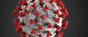 virus 19